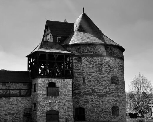 IMG_0511