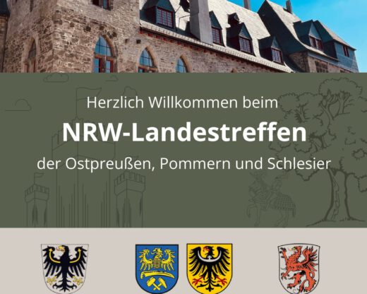 Fyler für Rollup